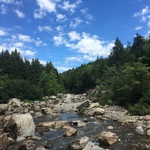 Meet your Posher, Allie